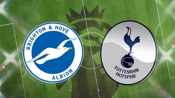 Link Live Streaming Brighton vs Tottenham, Pukul 02.30 WIB