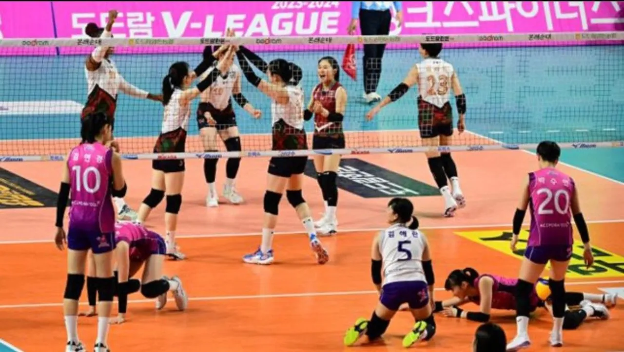 Link Live Streaming V-League: Hillstate vs Pink Spiders, 14.00 WIB