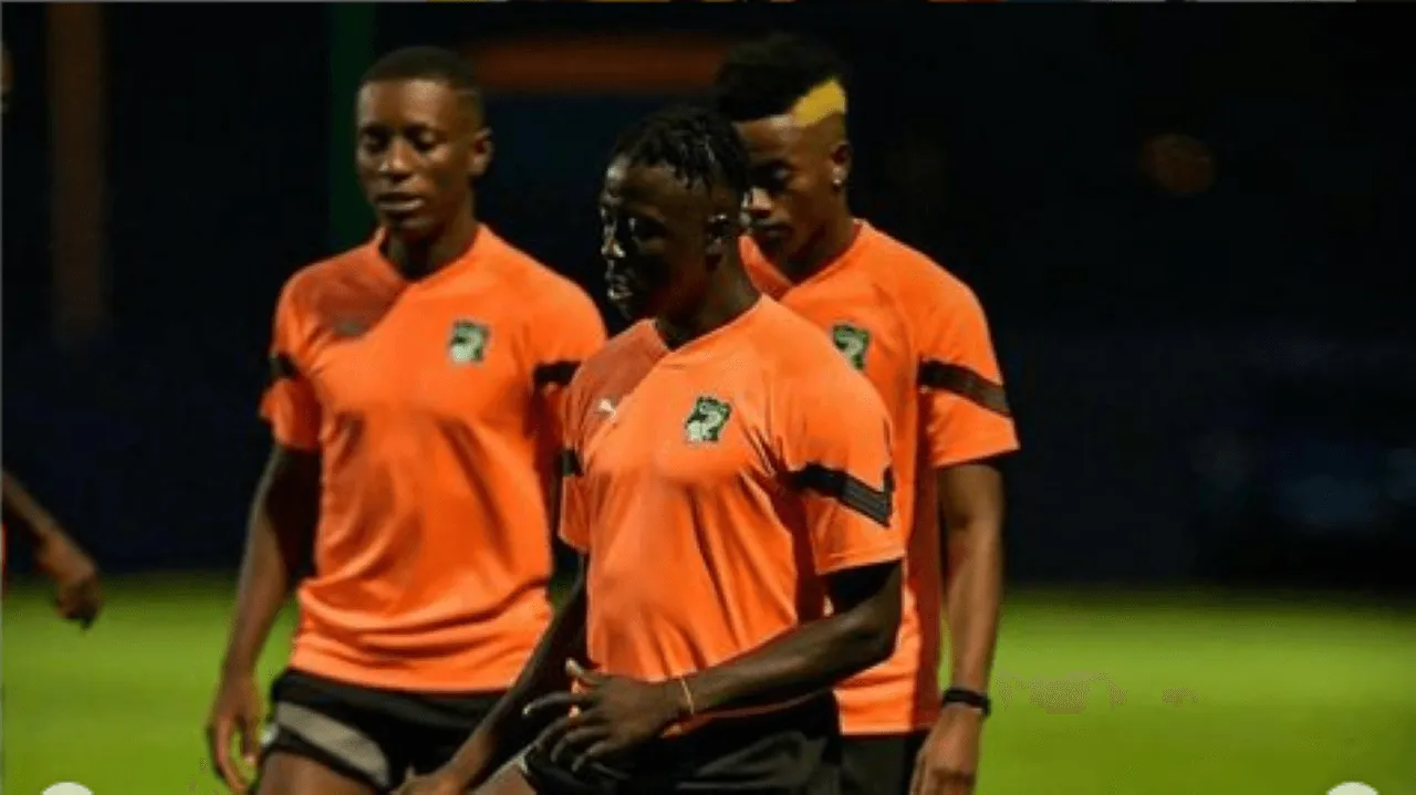 Link Live Streaming Piala Afrika, Pantai Gading vs Guinea-Bissau