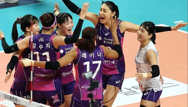 Pink Spiders menang 3-1 atas Red Sparks dalam lanjutan liga voli Korea Selatan atau V-League, Kamis (8/2/2024)/foto: Pink Spiders.