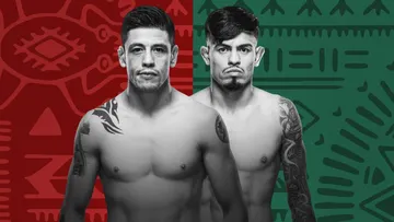 Link Live Streaming UFC Meksiko: Brandon Moreno vs Brandon Royval 2