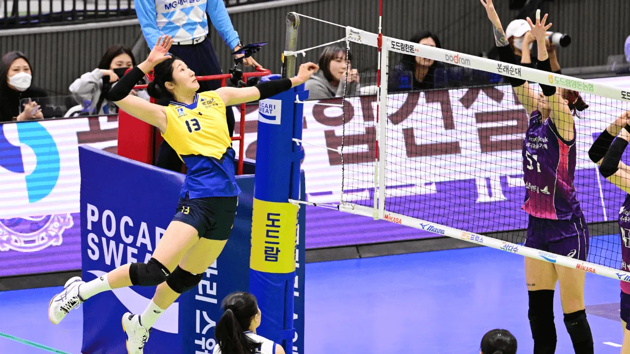 Final V-League: Dramatis, Hyundai Hillstate Pecundangi Pink Spiders