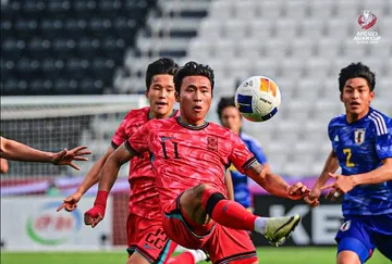 Profil Jeong Sang-bin, Penjebol Indonesia & Aset 2 Termahal Piala Asia