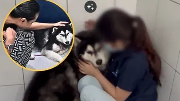 Viral Video Atlet Bulutangkis Malaysia Siksa Anjing Secara Sadis