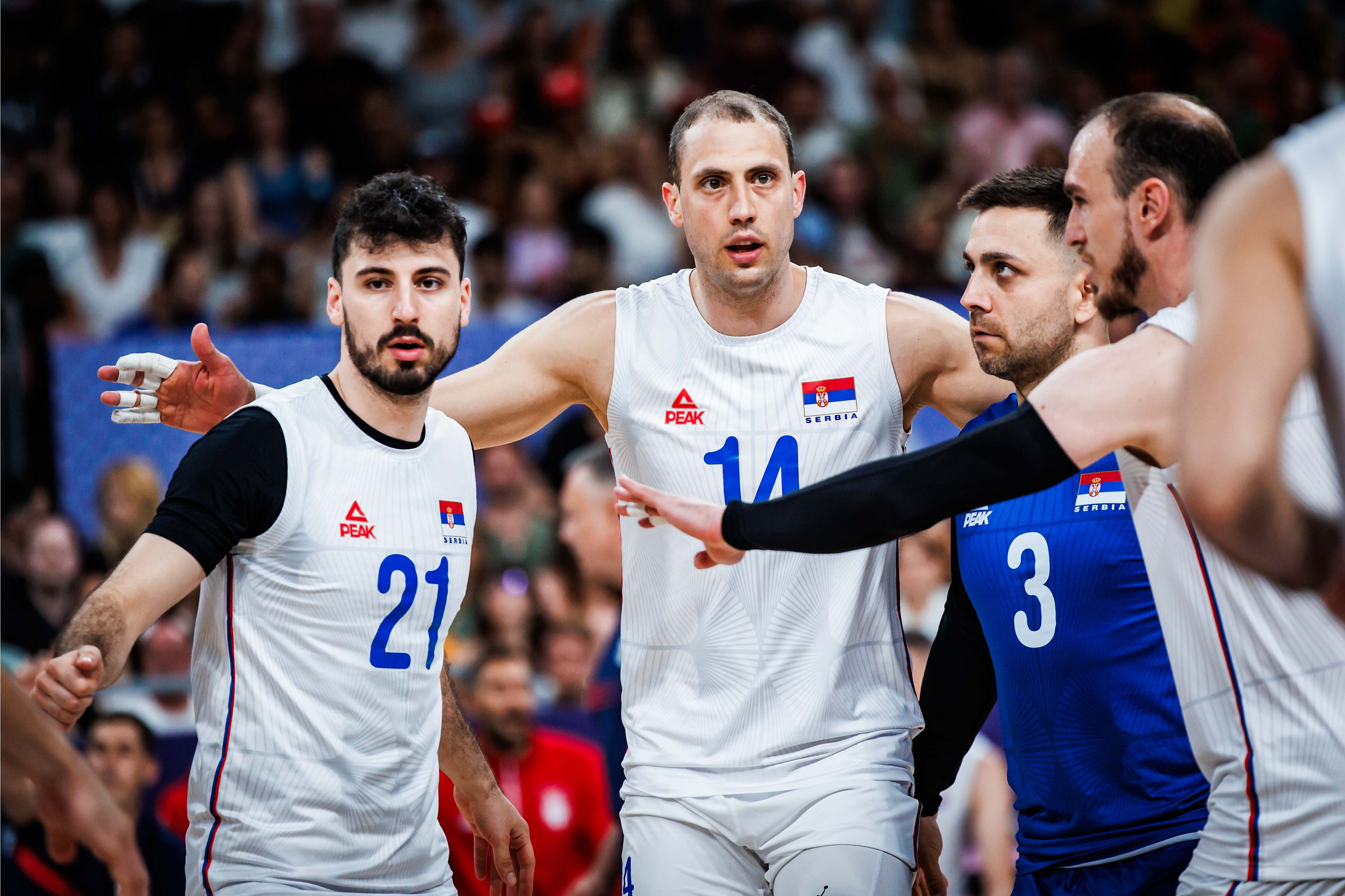 Tim voli putra Serbia/Sumber volleyballworld