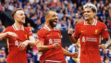 Link Live Streaming Liverpool vs Bologna