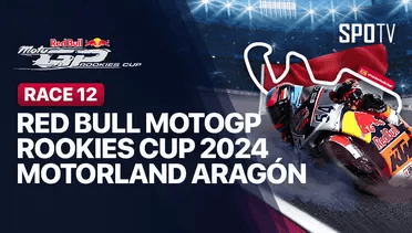 Race 2 Red Bull Rookies Cup 2024 / Vidio