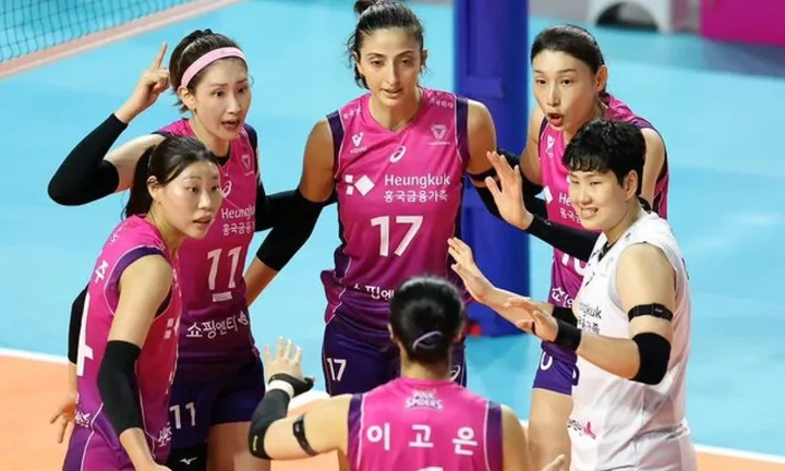 Link Live Streaming Liga Voli Korea Pink Spiders vs GS Caltex