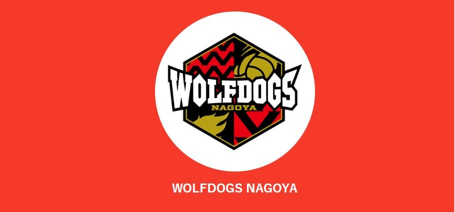 Wolfdogs Nagoya (svleague.jp)