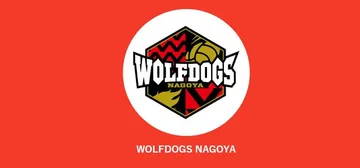 Jadwal Wolfdogs Nagoya di Liga Voli Putra Jepang 2024-2025