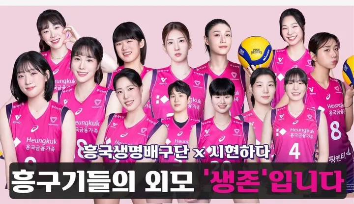 Daftar Pemain & Nomor Punggung Tim Pink Spiders di V-League 2024/2025