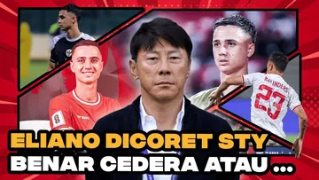 Alasan Eliano Reijnders Dicoret Shin Tae-yong/SportCorner.id