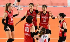 Hasil Liga Voli Korea Selatan V-League: Hi-Pass vs AI Peppers