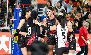 Hasil V-League 2024 Pink Spiders vs Red Sparks: Laga Dramatis