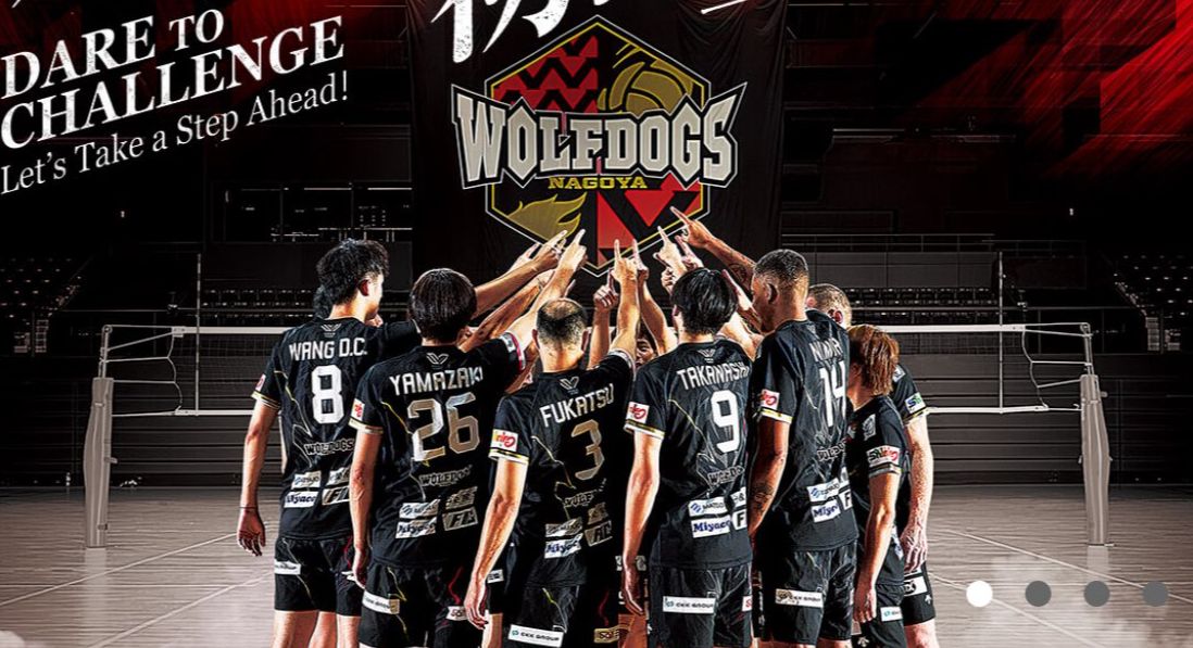 Wolfdogs Nagoya / X @Wolfdogs_NAGOYA