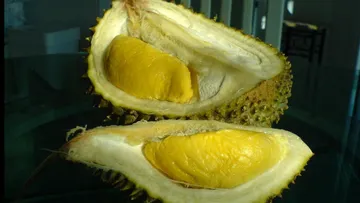 Durian Musang King (By irrational_cat - Musang King durian)