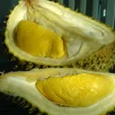 Durian Musang King (By irrational_cat - Musang King durian)