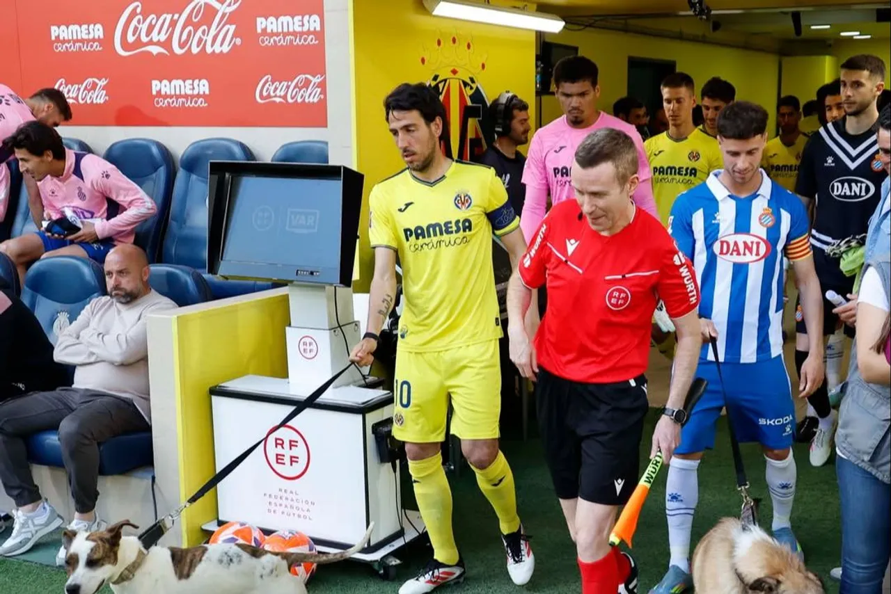 Penjaga gawang Espnayol, Joan Garcia. (Foto: Instagram/rcdespanyol)