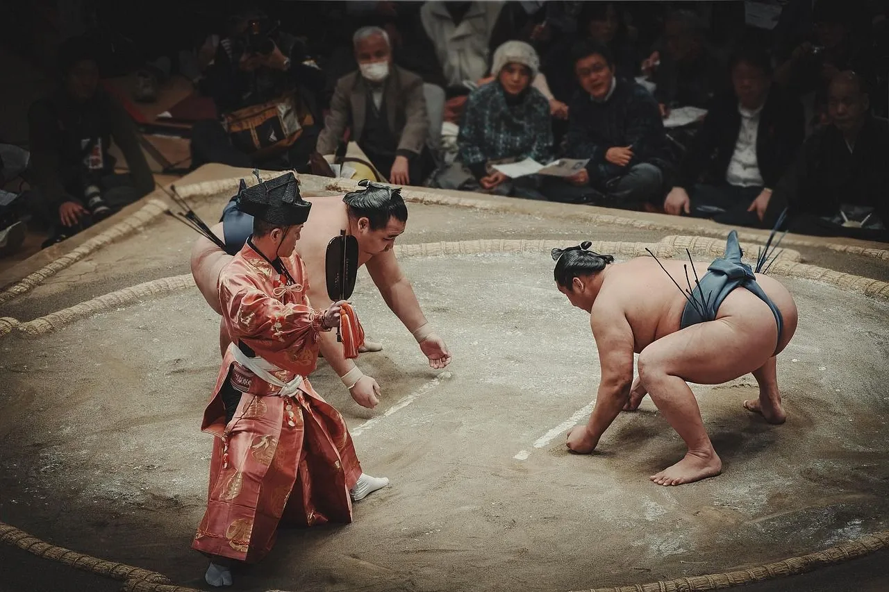 Ilustrasi sumo (pixabay.com)