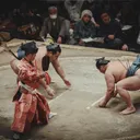 Ilustrasi sumo (pixabay.com)