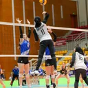 Indonesia menang 3-0 atas Selandia Baru di AVC Nations Cup 2025 Putri/foto: Ofisial AVC