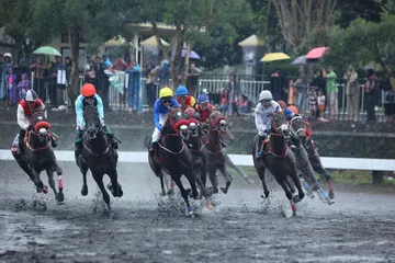 Mengenal Triple Crown dalam berkuda