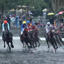 Mengenal Triple Crown dalam berkuda