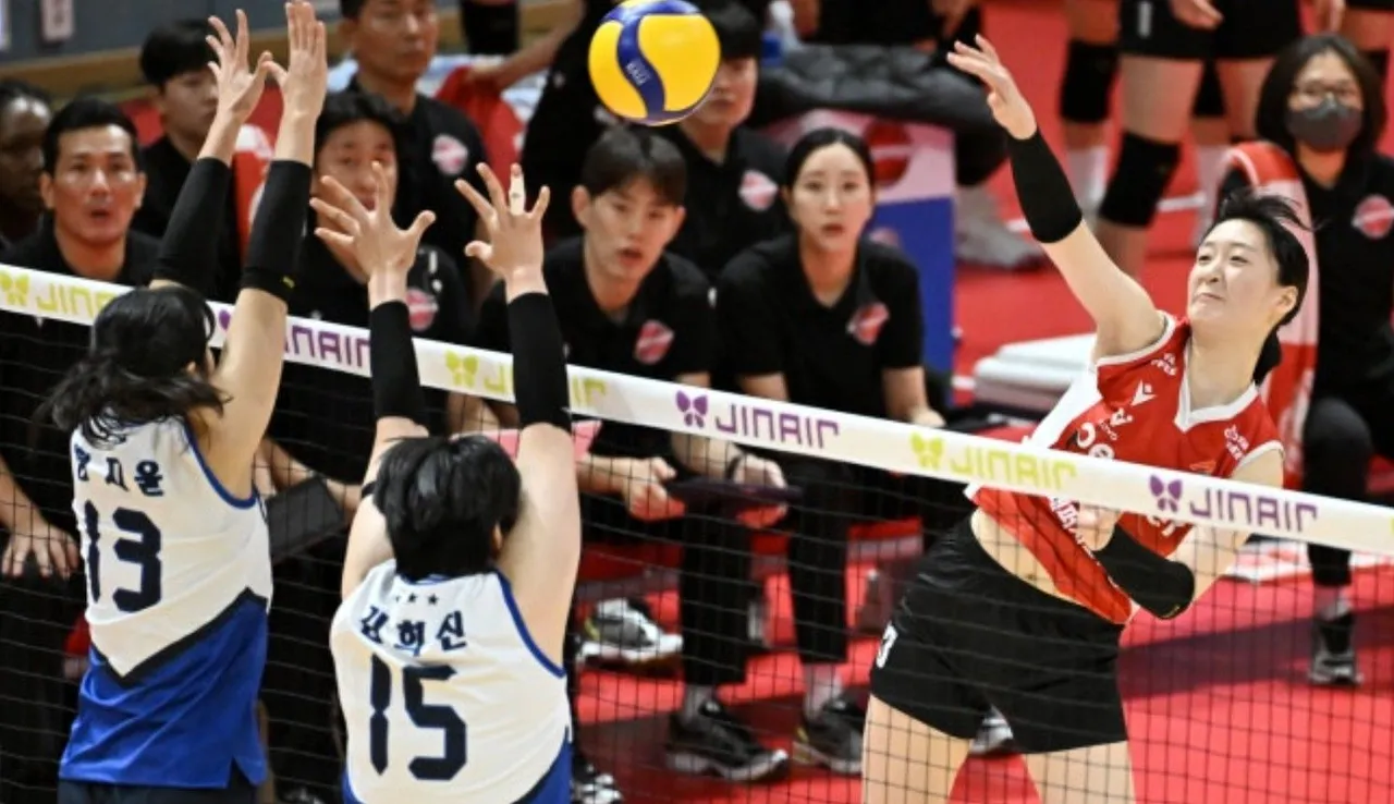 AI Peppers menang 3-0 atas Hyundai Hillstate/foto: KOVO