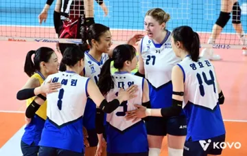 Red Sparks kalah 1-3 dari Hillstate di Liga Voli Putri Korea Selatan/foto: KOVO