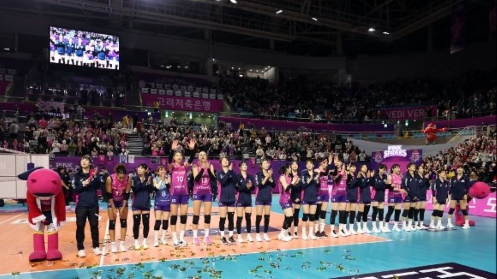 Pemain Pink Spiders di V-League/KOVO