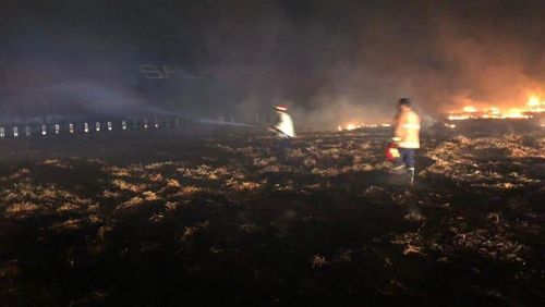 Viral Rumput Stadion Kebakaran saat Acara Peringatan Tragedi Kanjuruhan, Ini Faktanya